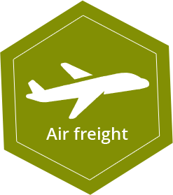 Trans Globe Shipping Ltd | air freight